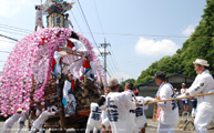 栃谷の夏祭り -The summer festival in Tochiya- Scene23